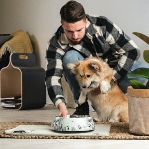 Mumin Husdjur Matskål Grön XL