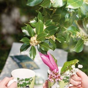 Arabia Vilopaus Muggar