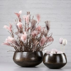 Fjädrar på vippa Magnolia