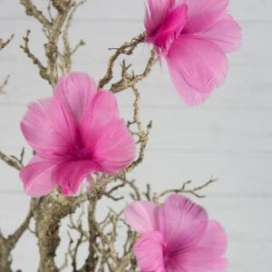 Fjädrar på Vippa - Magnolia