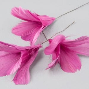 Fjädar på Vippa - Magnolia