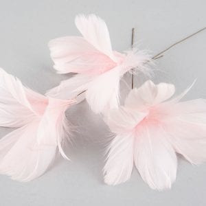 Fjädrar på Vippa - Magnolia