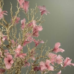 Fjädrar på Vippa - magnolia