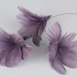 Fjädrar på vippa - Magnolia