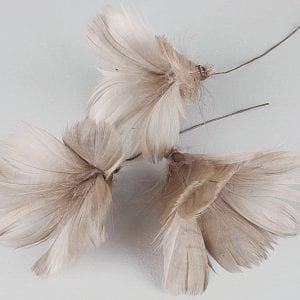 Fjädrar på Vippa - Magnolia