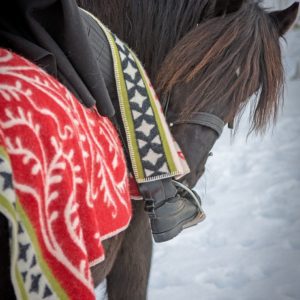 Ullfilt Albertu, Röd