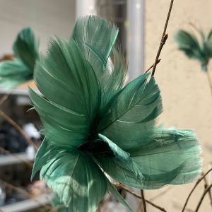 Fjädervippa - Magnolia, Grön