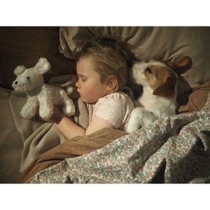 Hund i väska med tillbehör - Jabadabado