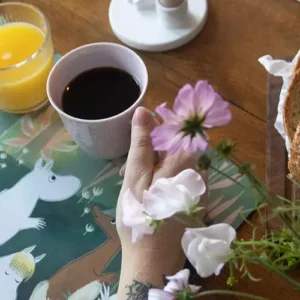 MuminTallriksunderlägg 2-pack