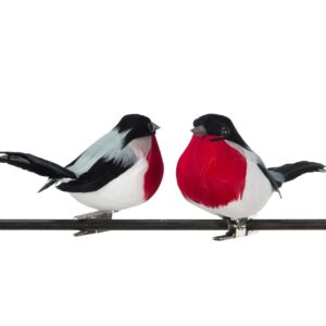 Domherre, Clip - 2-pack