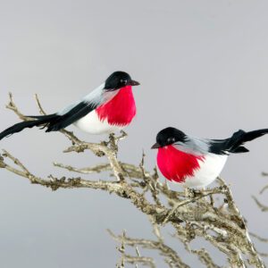 Domherre, Clip - 2-pack