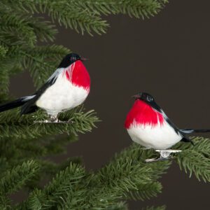 Domherre, Clip - 2-pack