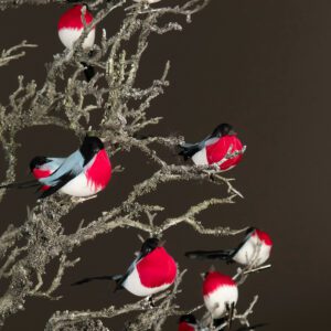 Domherre, Clip - 2-pack