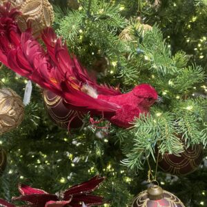 Fågel Velvet med Klämma - Röd