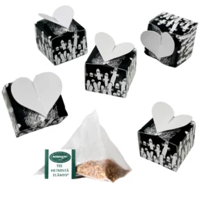 Mumin Mystery Box - Teburk med 24 Tepåsar