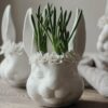 Majas Vas - Floral Bunny - Majas Cottage