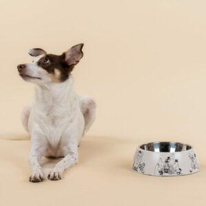 Mumin Husdjur - Matskål - Large - Mumin 80