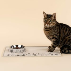 Mumin Husdjur - Matskål för Katter - Mumin 80