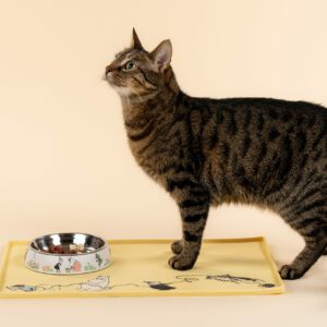 Mumin Husdjur - Matskål för Katter - Vit