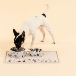 Mumin Husdjur - Underlägg i Silikon, 48x30 - Mumin 80