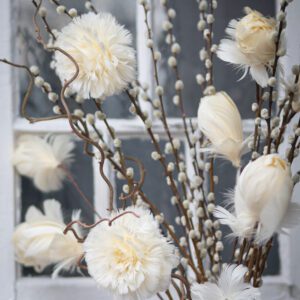 Fjäderblomma med clip