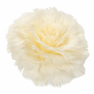 Fjäderblomma med clip aprikos