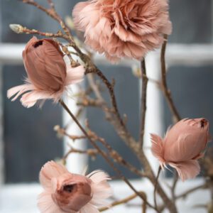 Fjäderblomma med clip