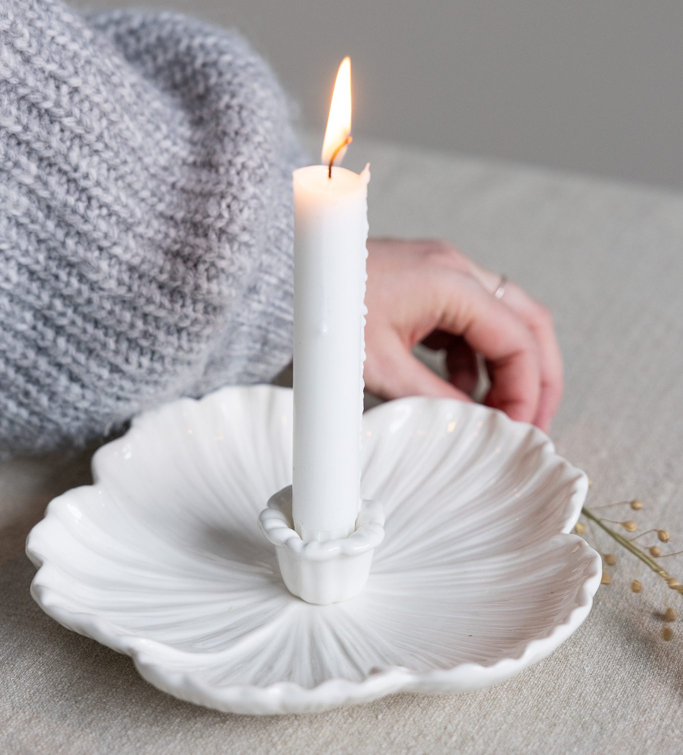 Ljusstake - Botanik - Vit