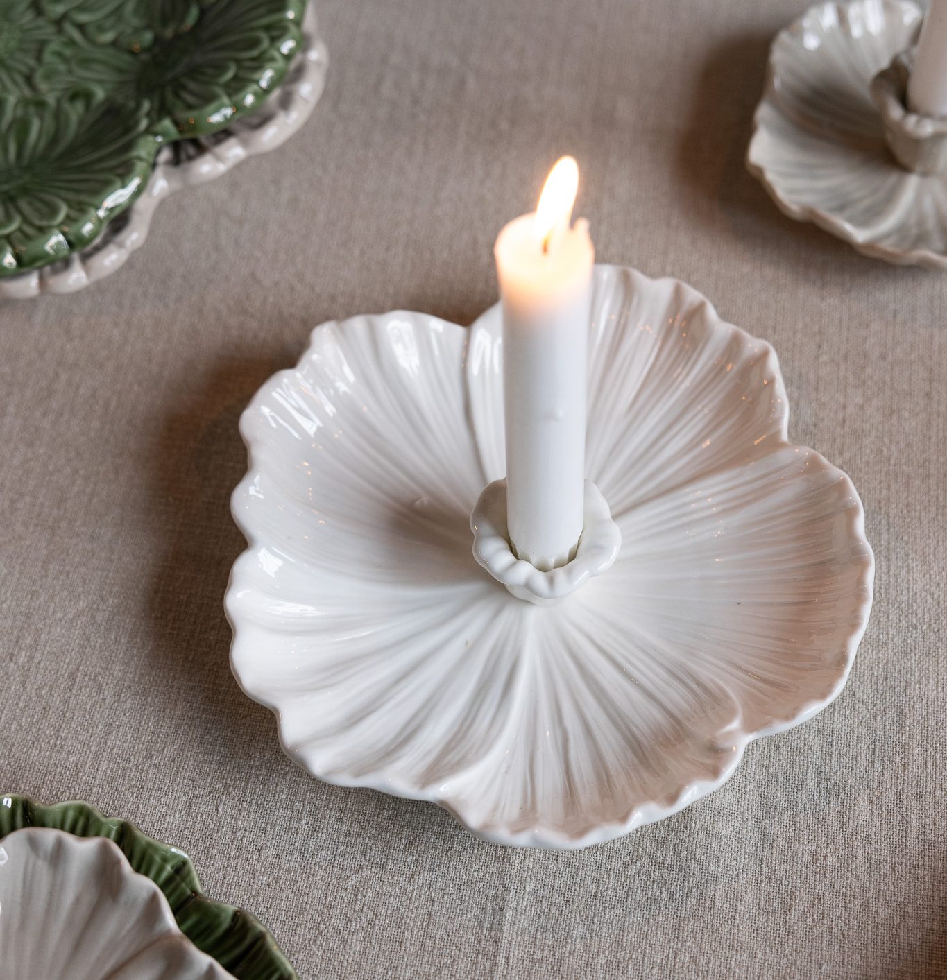 Ljusstake - Botanik - Vit