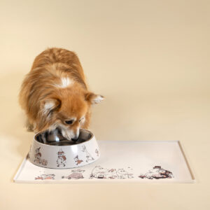 Mumin Husdjur - Matskål - XL - Ögonblick